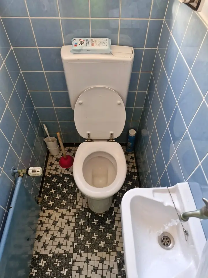 Toilette nach der Rohrreinigung — frei und sauber hinterlassen